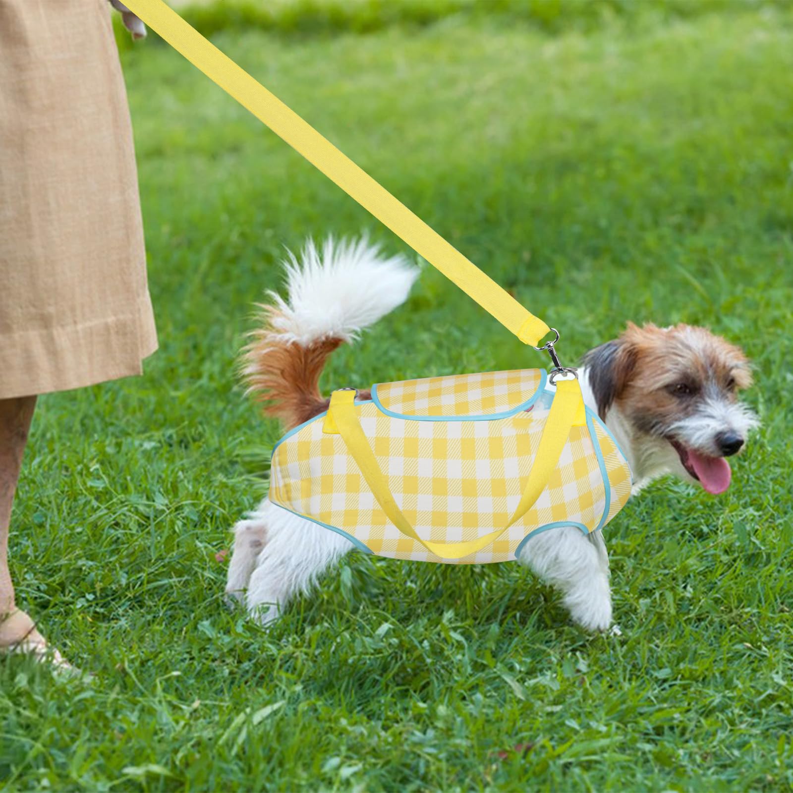 Deaguid Collapsible pet carry bag, Soft-Sided Pet Carrier with Strap - Image 4