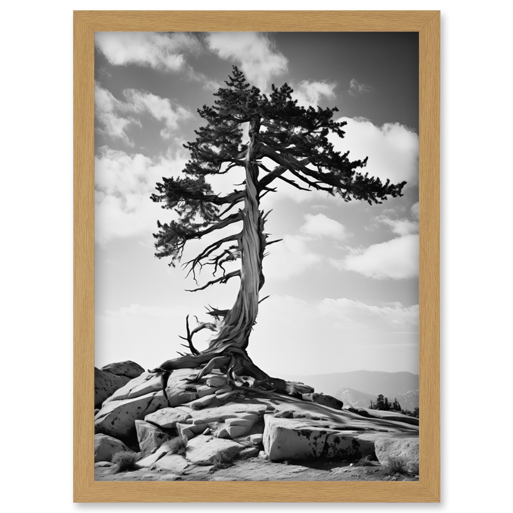 Artery8 Weathered Jeffrey Pine Standing on a Rocky Hill Black and White Photograph Lone Tree Artwork Framed Wall Art Print A4