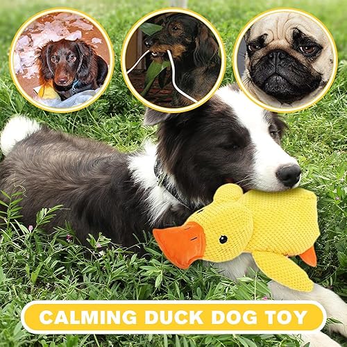 Miniatura 4 de Quack-Quack - Juguete de pato para perros, 2025, el pato calmante suave para perros, juguete duradero para masticar para mascotas, patos de peluche