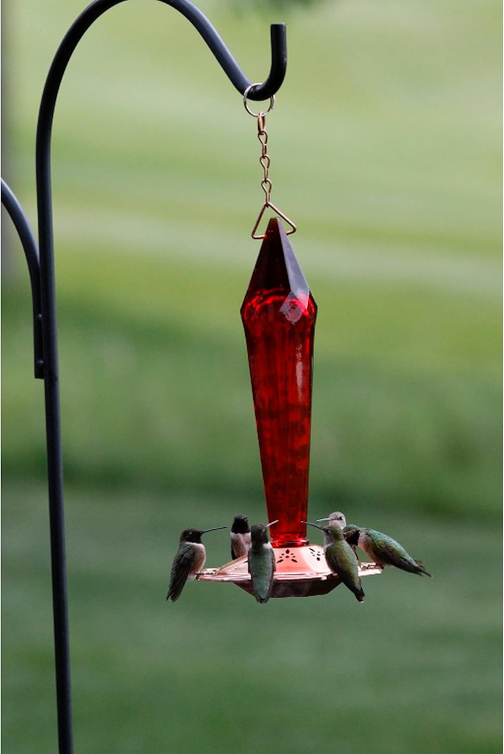 Songbird Essentials Ruby Faceted Glass Hummingbird Feeder, Bird Feeder for Patio, Yard and Garden