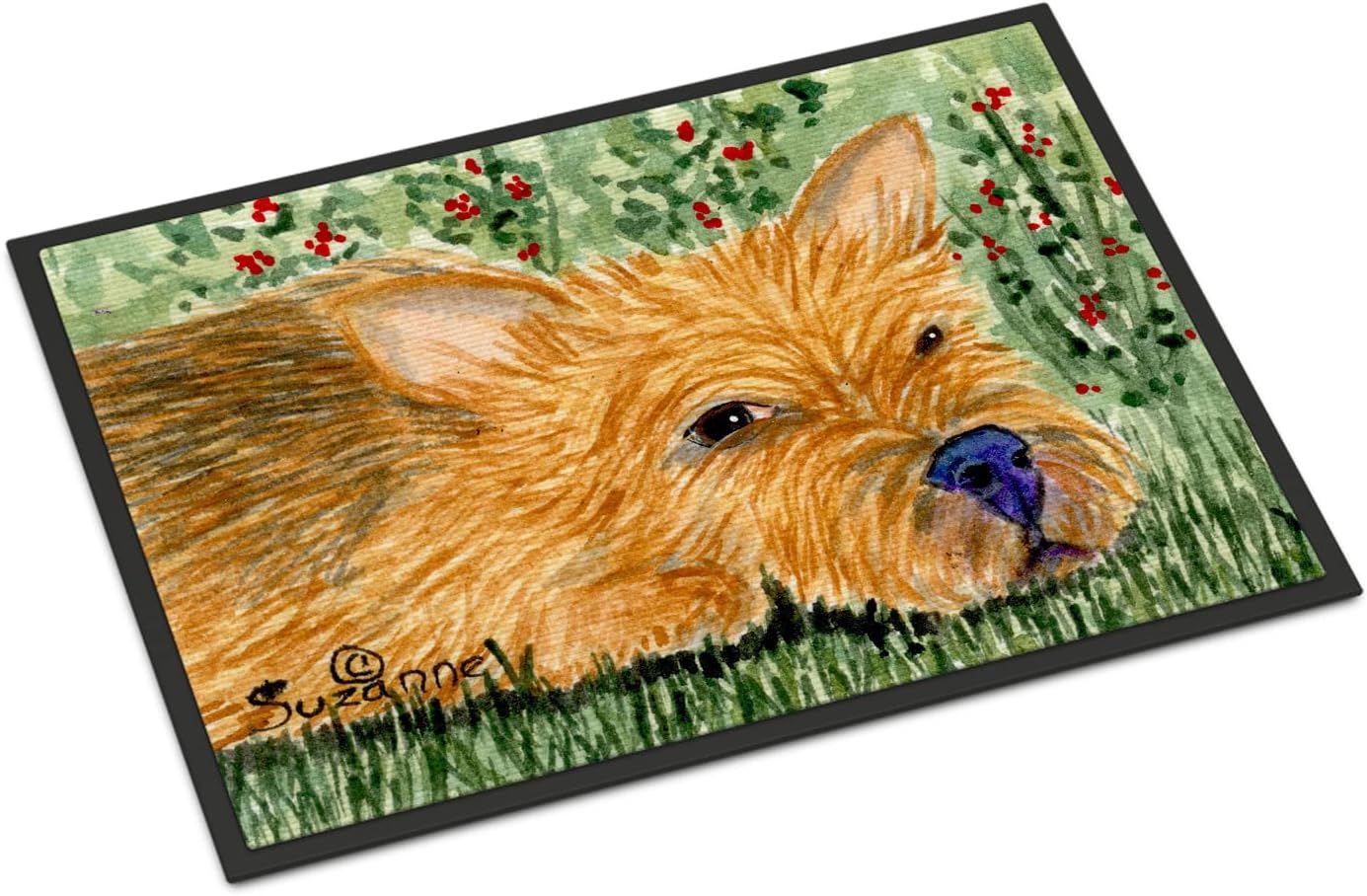 Caroline's Treasures SS8862JMAT Norwich Terrier Doormat 24x36 Front Door Mat Indoor Outdoor Rugs for Entryway, Non Slip Washable Low Pile, 24H X 36W