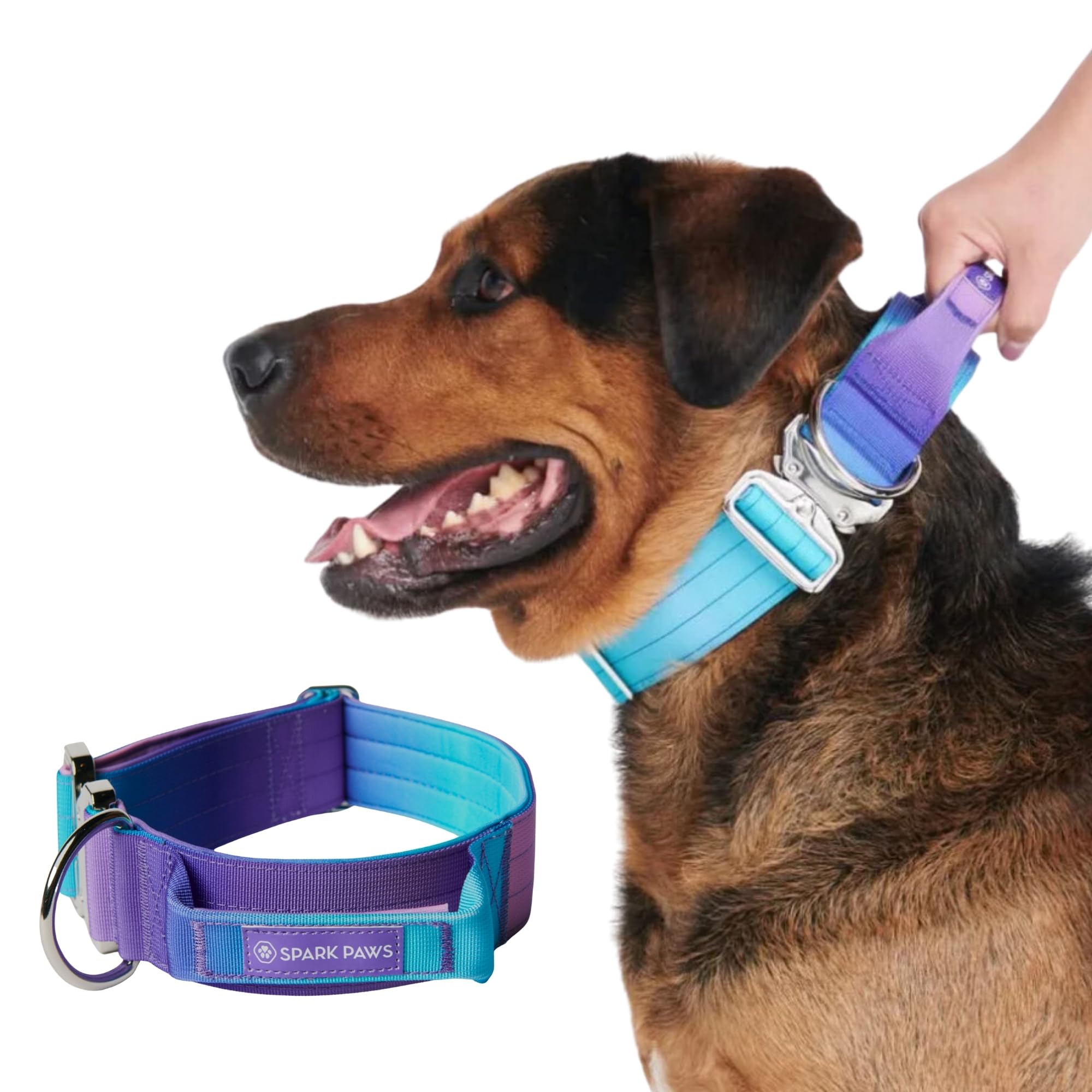 Spark Paws Premium Hundeleine Mit Kotbeutel – Extra Stabil Für Starke Hunde!