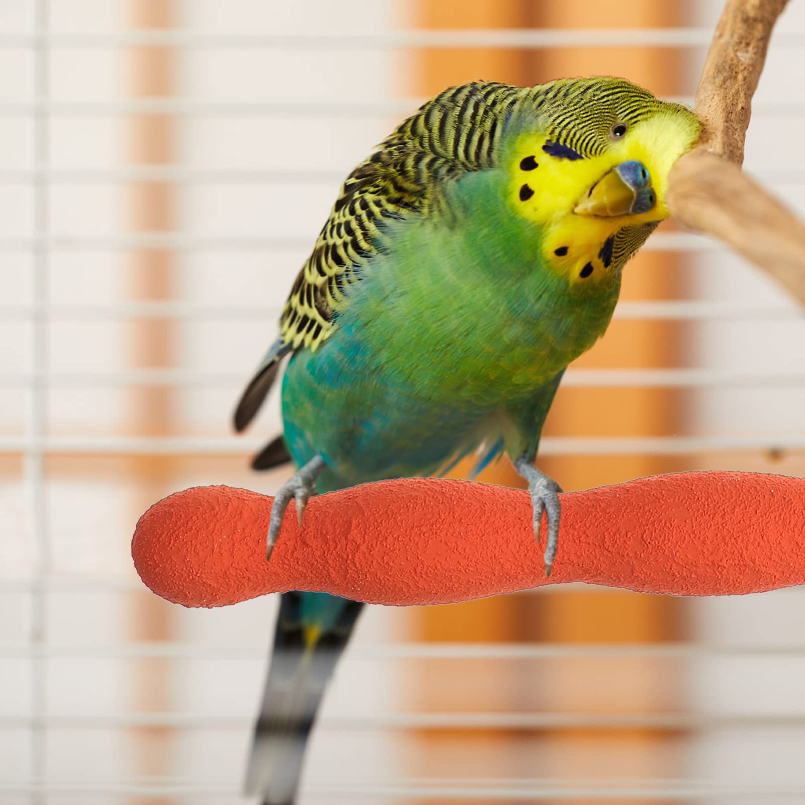 POPETPOP Perch Cm/Color, Conures, Parakeets, Platform Cm Cage, Cockatoo/Lovebirds - Image 3