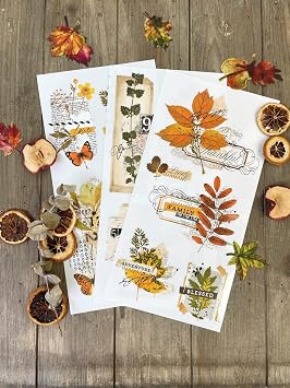 Redesign with Prima - Sweet Lamb Small Transfers 6x12 3 Sheets Rub on Transfers for Furniture Vintage Rub on Transfers Stickers for Crafts Classic Spring Summer Autumn Decoration