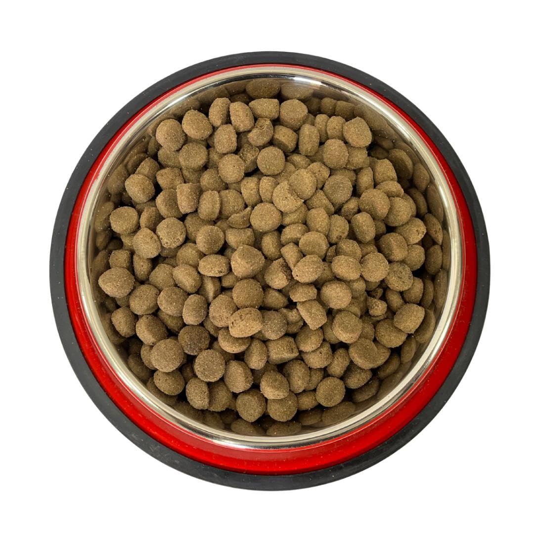 Argo Cane Mantenimento Manzo - 20kg