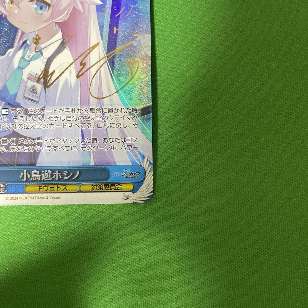 小鳥遊ホシノ　sp m57976341323_1.jpg?1752477950