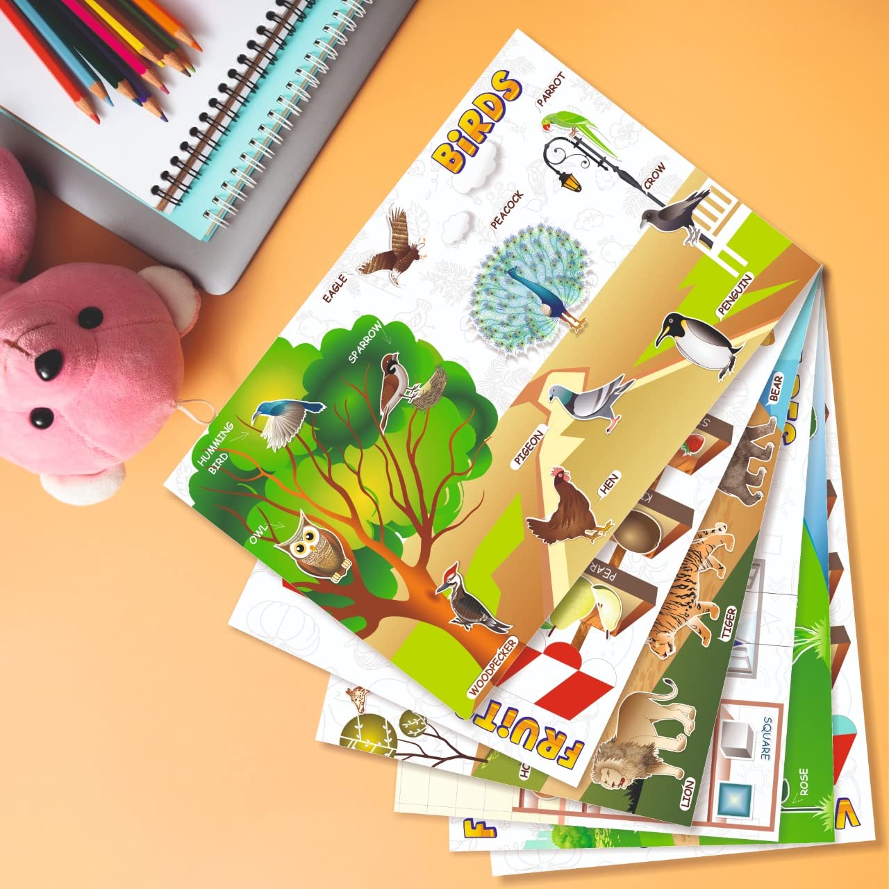 VantageKart Educational Wall Posters Set of 6 for Kids | Birds, Animals, Fruits, Vegetables, Flowers & Shapes Charts | 12x18 Inch Preschool Learning Charts for Toddlers, Nursery, LKG, UKG 3