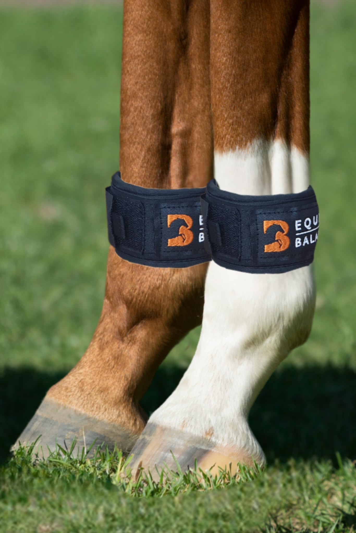 Magnetische Beinbänder für Pferde Equine Balance Magnettherapie Pastern Wraps für Pferde und Ponys Neodym-Magnete für Huf, Fessel, Knie und Sprunggelenk (breit)