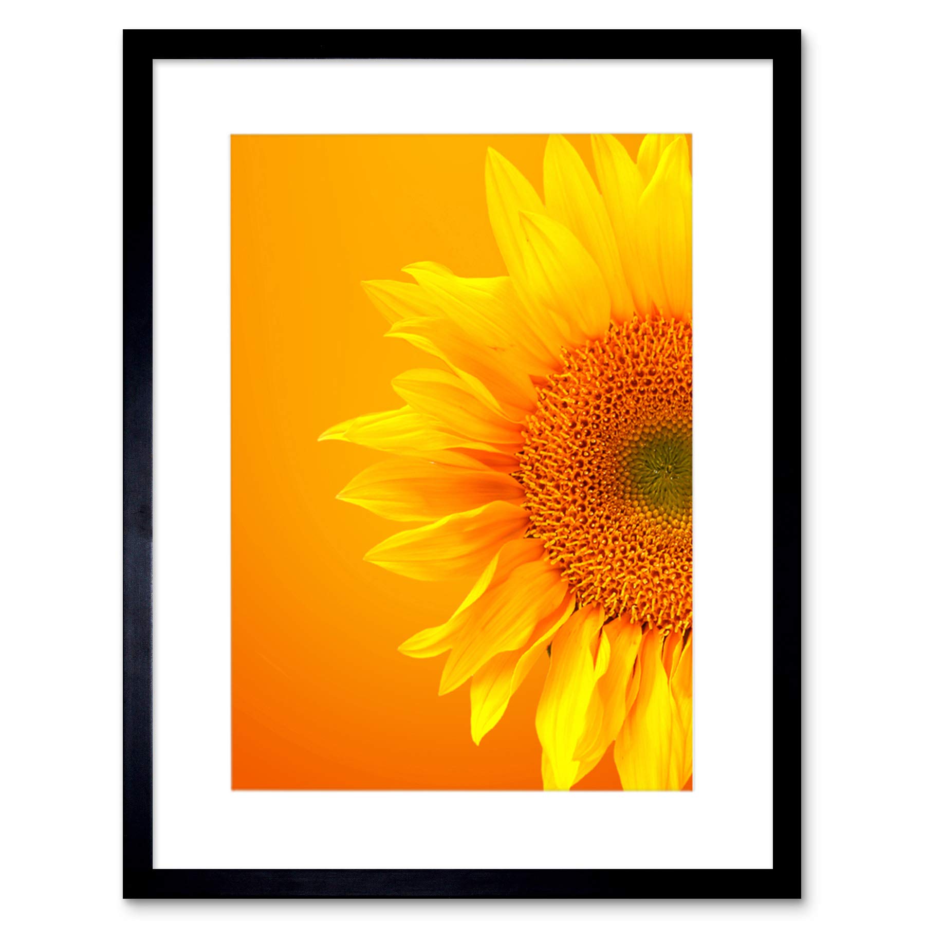 Sunflower ページ Amazon.com: SINGLE SUNFLOWER BLOOM ORANGE YELLOW BLACK