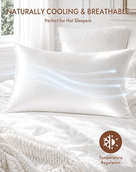 SilkSilky 100% Pure Organic Mulberry Silk Pillowcase for Hair & Skin, Both Sides Grade 6A Pillow Cases with Hidden Zipper, Breathable Cooling Silk for Beauty Sleep (Queen 20''x30'', White)
