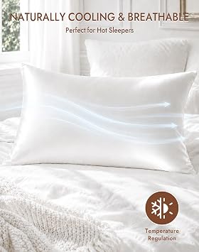 SilkSilky 100% Pure Organic Mulberry Silk Pillowcase for Hair & Skin, Both Sides Grade 6A Pillow Cases with Hidden Zipper, Breathable Cooling Silk for Beauty Sleep (Queen 20''x30'', White)