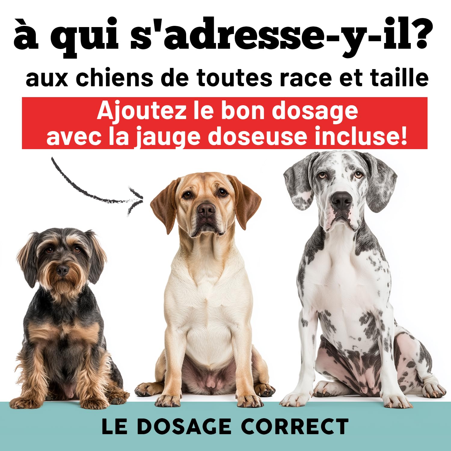 Multivitamines pour Chiens | Équilibre la Diète Maison et Barf | 12 Vitamines + 10 minéraux | avec Algue Spiruline | en Poudre | 220g