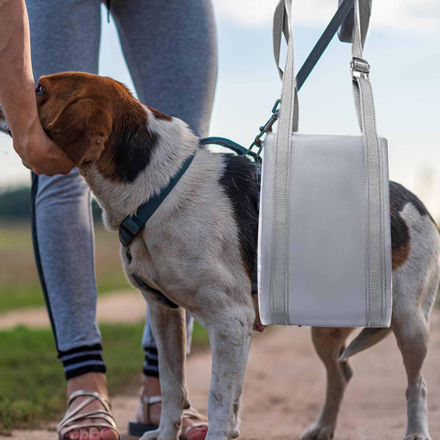 Dog Support Harness, Adjustable Dog Lift Sling, with Non-Slip Padding, Water-Resistant, Pet Supplies for Disabled Senior Injured Medium Large Animals - Image 3