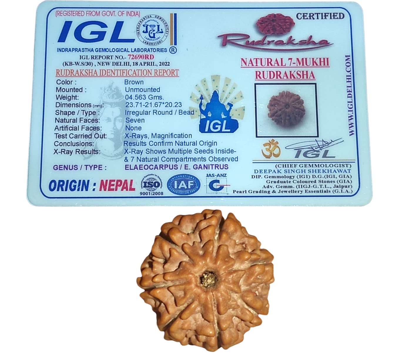 See full amazon price history chart for 7 Mukhi Rudraksha Original Certified/Seven Faces Rudraksha | with IGL Certification | Ruthratcham | for Men and Women | Rudraksha Pendant | by Shree Rudraksham | (Bead Size 20 mm Approx.) | 7 Mukhi Rudraksha Original Certified/Seven Faces Rudraksha | with IGL Certification | Ruthratcham | for Men and Women | Rudraksha Pendant | by Shree Rudraksham | (Bead Size 20 mm Approx.) | (B0B5M1N945) Amazon Price History, Amazon Price Tracker