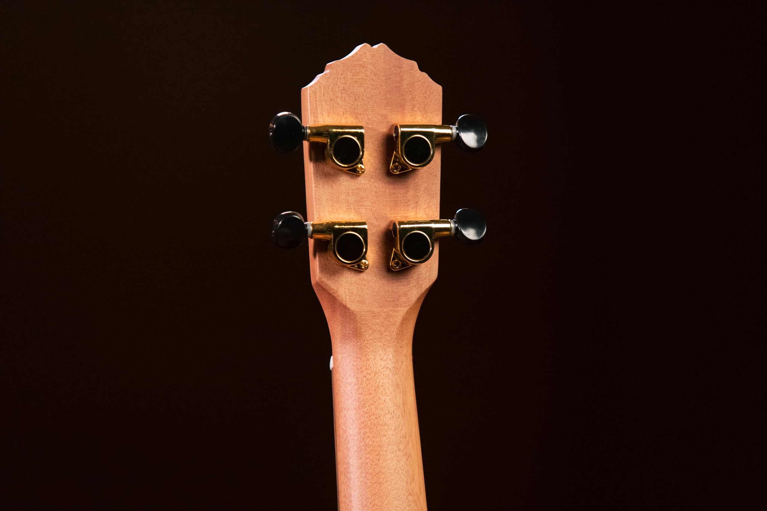 Ortega Guitars Ukulele Tenore Acustico – Timber Series – Gig Bag Inclusa – Cedro / Noce, Natural (RUTI-TE)