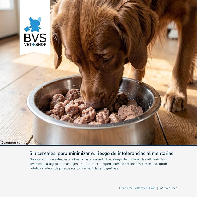 Foto 3 de 8 de BVS Vet Shop
