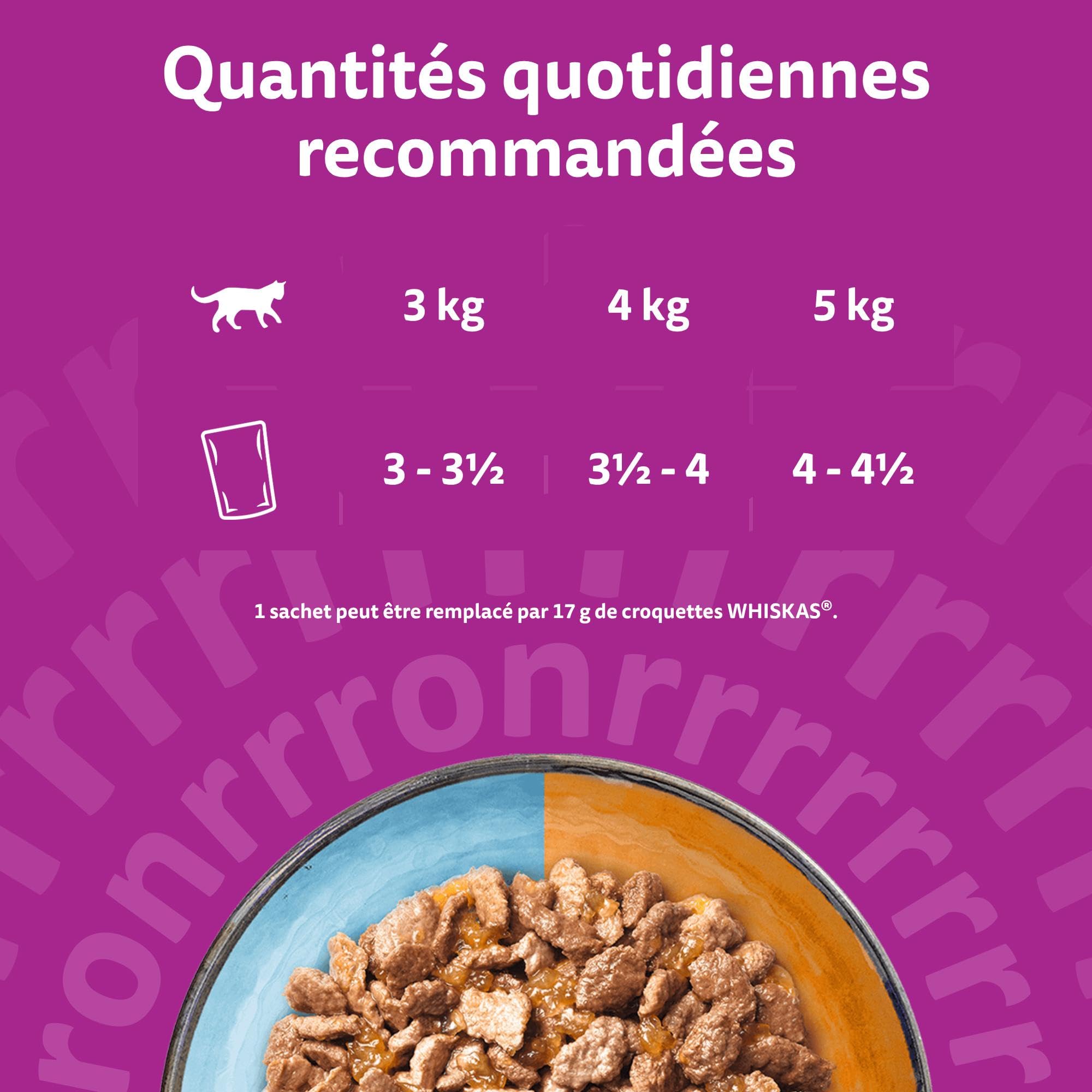 WHISKAS DUO Aliment humide en gelée pour chat adulte 12x85g Terre & Mer (Lot de 4) 48 Sachets