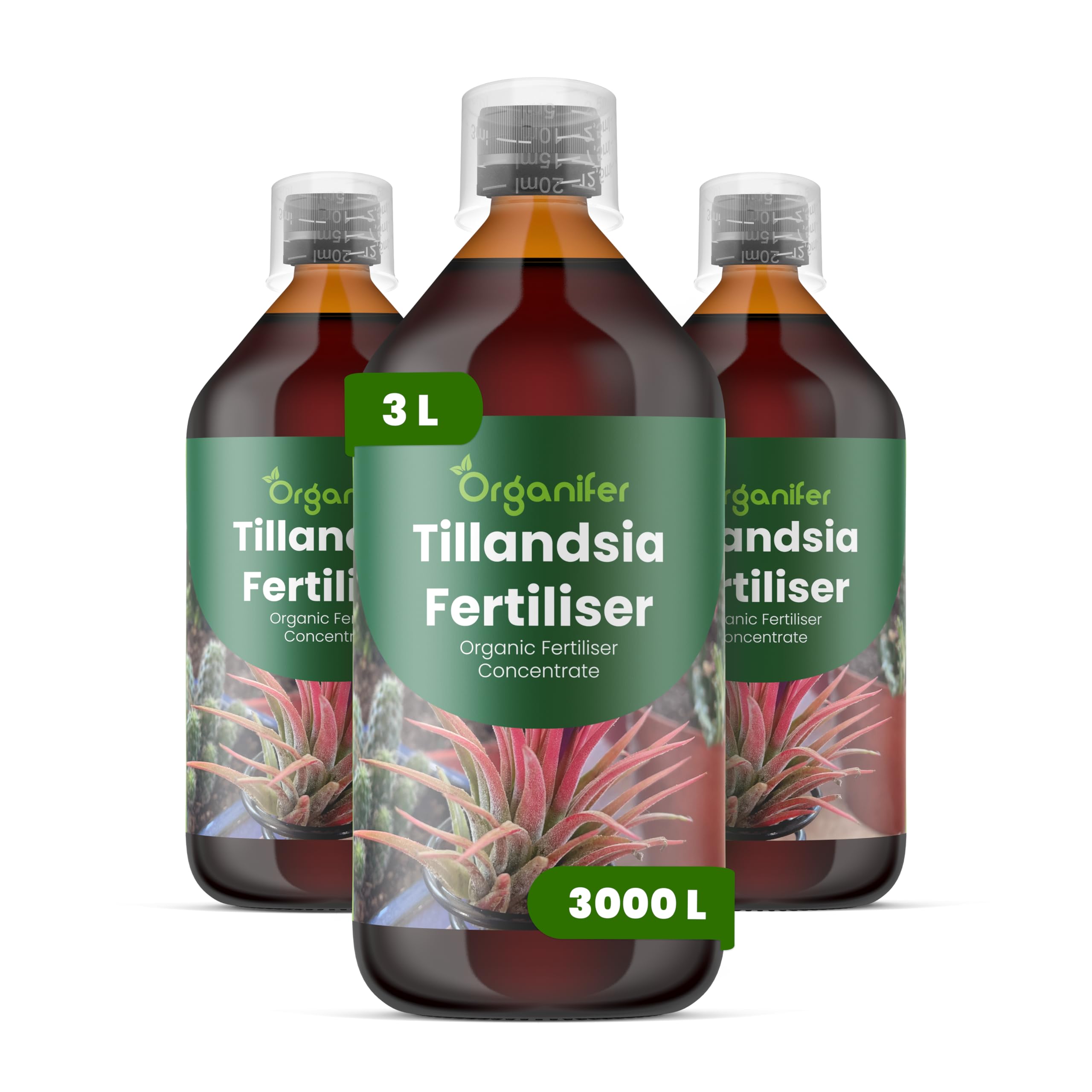 Płynny Nawóz Do Tillandsii 3x1L - NPK 2-1-8 | Silne Korzenie I Zdrowe Liście - Organifer