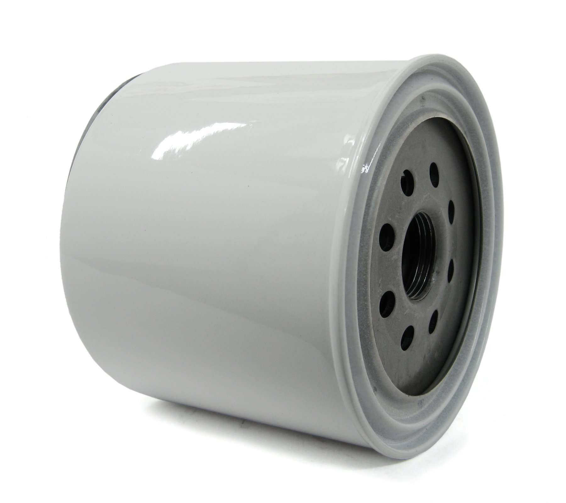 ACDelco TP1251 Professional Filtro de Gasolina, Fuel Filter