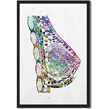 Framed Breast Anatomy Watercolor Poster Canvas Print Art, Modern Painting, Pictures, Art Print, Wall Art,Stunning Wall Decor, Home Decor,Living Room, Office Black Framed,24L X36W