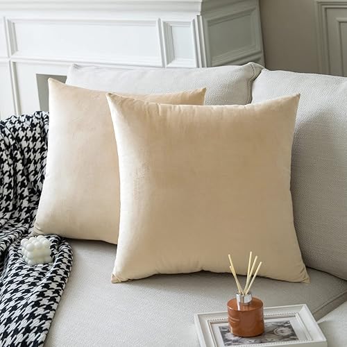 Colormz Juego de 2 fundas de almohada de terciopelo sólido de color caqui, acogedoras y suaves fundas de almohada para sofá, cama y sala de estar,
