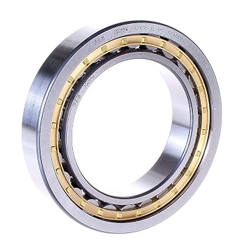 FAG NU1016M1 Cylindrical Roller Bearing, Single Row, Straight Bore, Removable Inner Ring, Standard Capacity, Brass Cage, Normal Clearance, 80mm ID, 125mm OD, 22mm Width