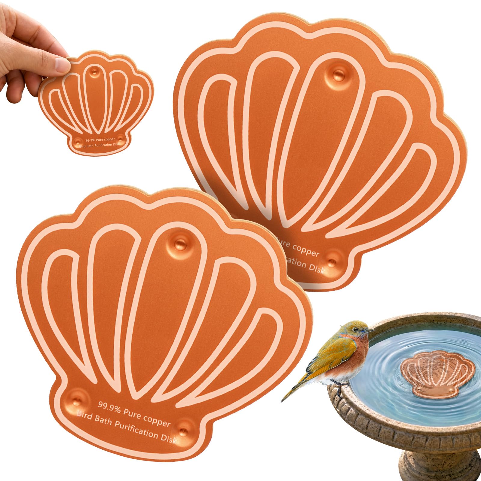 99.99% Pure Copper Bird Bath Disc Pack of 2, Shell Shape Water Purification Disks with Triple Point Support, Outdoor Bird Bowl Cleaner for All Seasons, Low Maintenance British Garden Decor