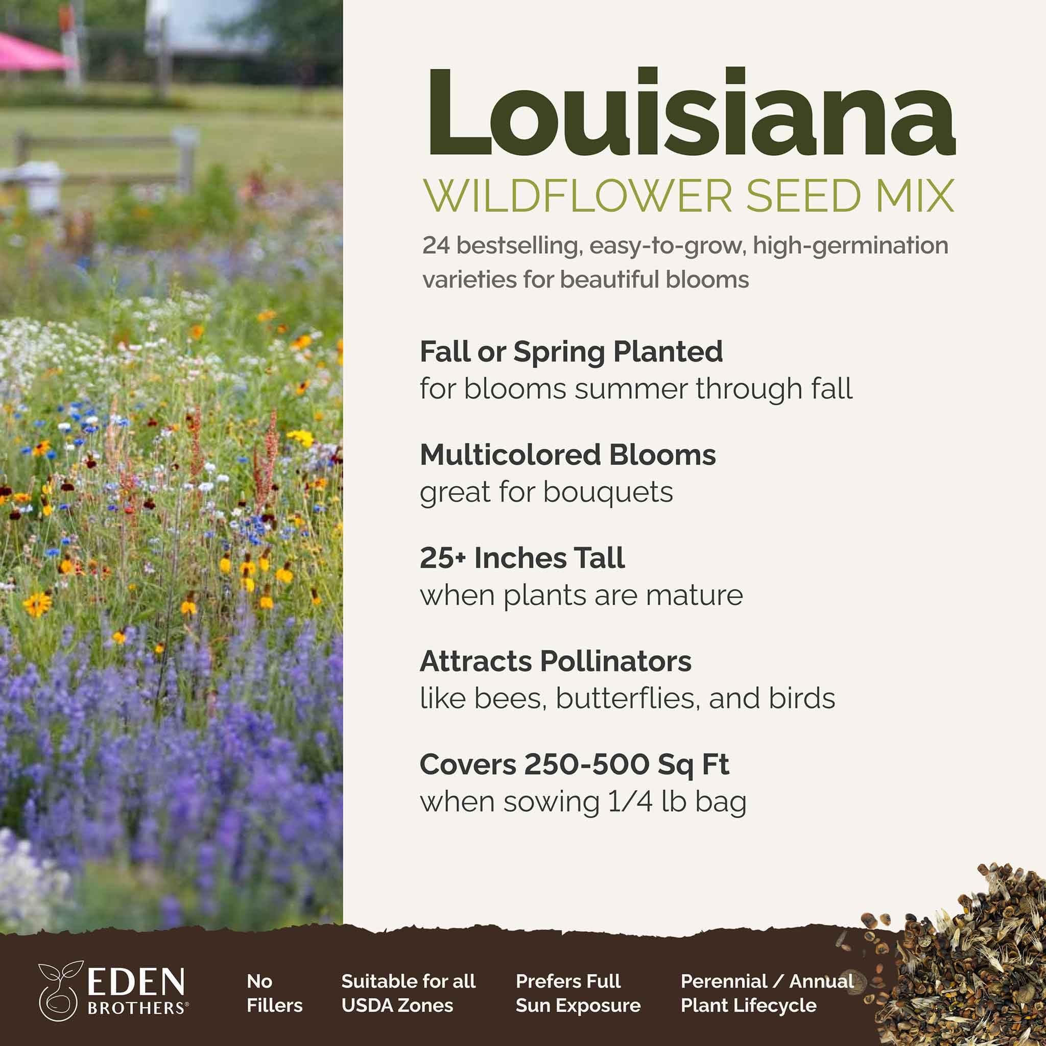 Amazon.com : Eden Brothers Louisiana Wildflower Mixed Seeds for Planting,  1/4 lb, 120,000+ Seeds with Lupine, African Daisy | Attracts Pollinators,  Plant in Spring or Fall, Zones : Patio, Lawn & Garden