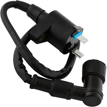 Ignition Coil for Honda NSR75 NSR575 Motorcycle 2004 NSR 75 NPS50 Ruckus Zoomer