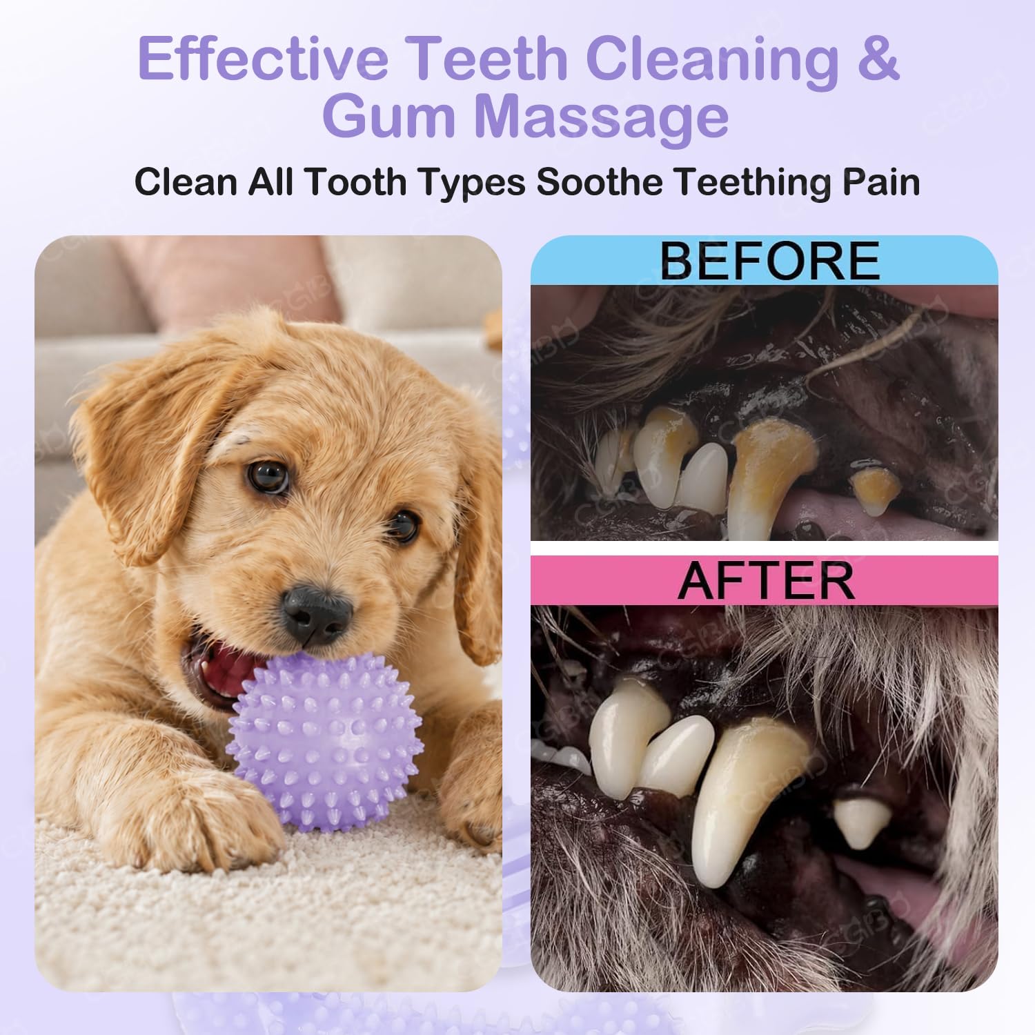 Juguetes para Cachorros, Paquete de 6 Juguetes masticables para dentición de Cachorros, Lindos Juguetes morados para Cachorros de Raza pequeña, Juguetes de dentición para Limpiar los Dientes al