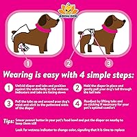 Vista 5 de Bodhi Dog Pañales desechables para perras, pañales súper absorbentes para el ciclo de calor de la hembra, ajuste ajustable para entrenamiento