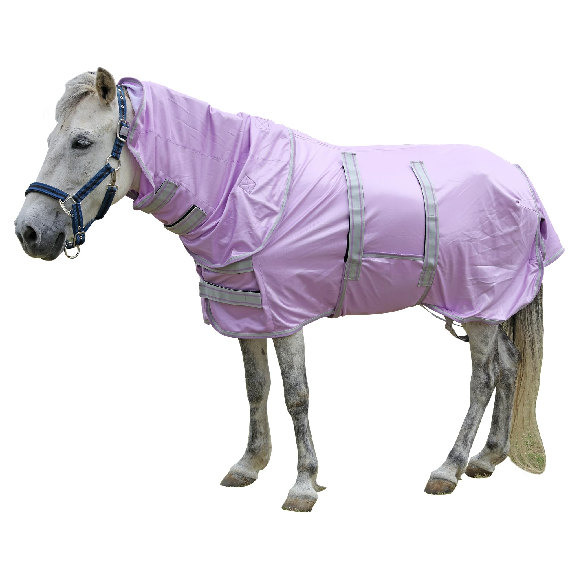 Leberna Miniature Fly Rug Combo for Shetland Pony, Donkey, Section A and Miniature Horse, Insects Flies Bug Protection (Purple, 4' 2")