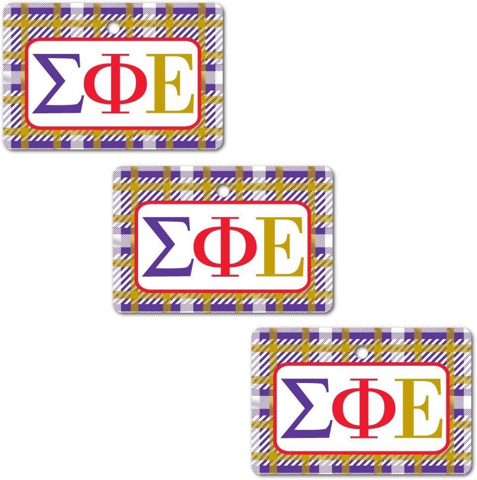VictoryStore Holiday Ornaments - Sigma Phi Epsilon Rectangle Ornament, Set of 3