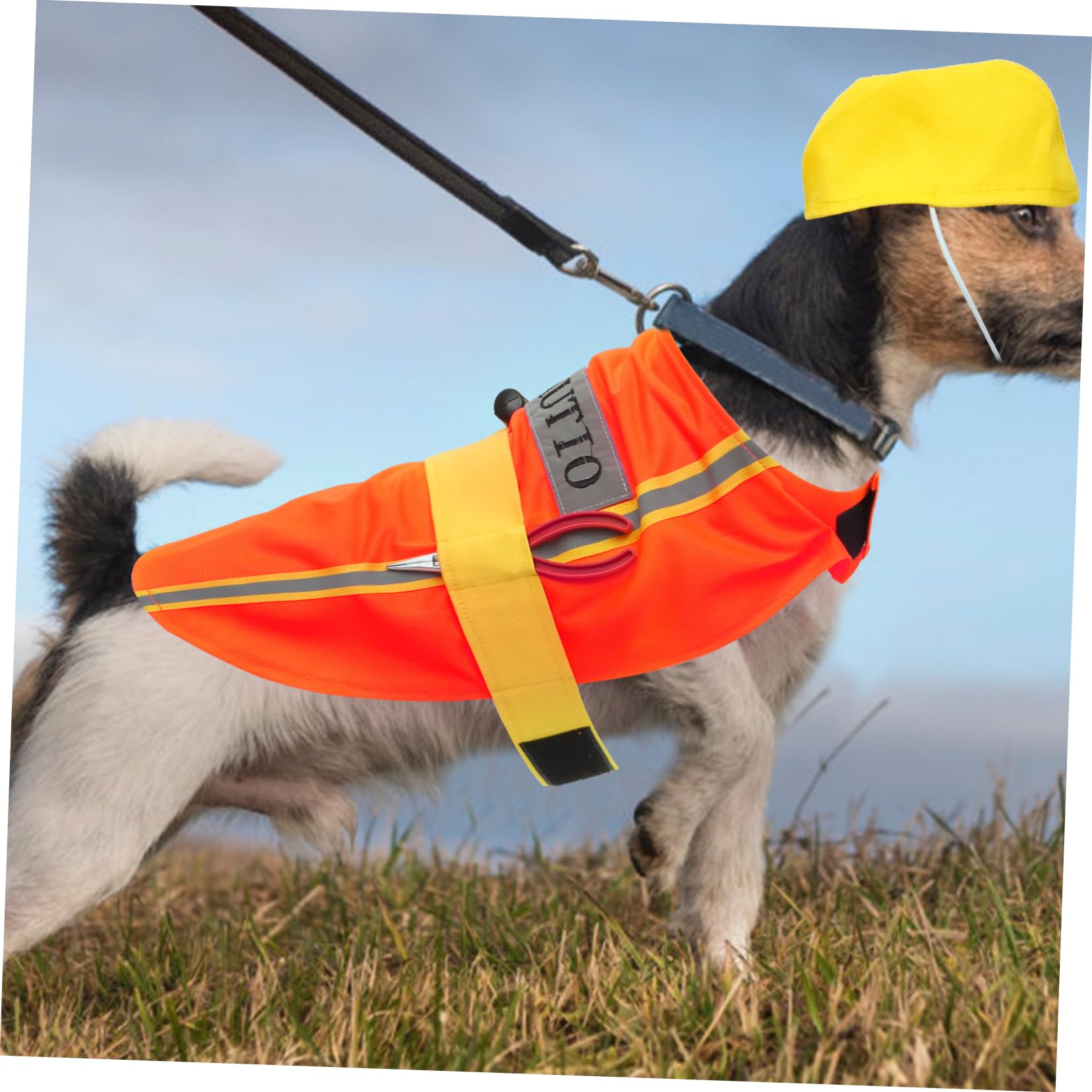 BESPORTBLE 5pezzi Costume Decorativo Per Cani Poliestere Abbigliamento Per Animali Domestici Adorabile Per Feste Compleanni e Occasioni Speciali Materiale Resistente e Confortevole Facile Da