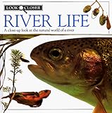  River Life