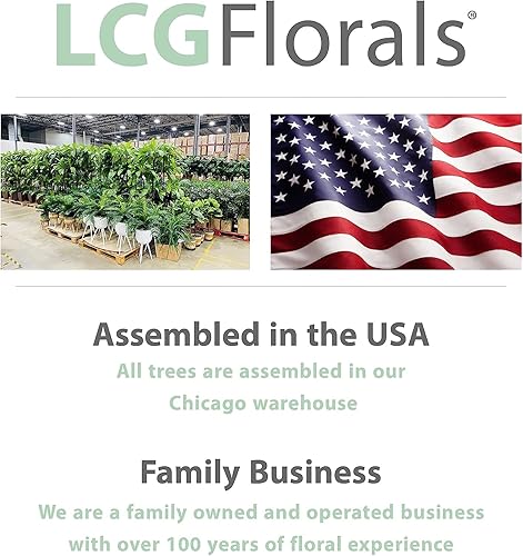 Miniatura 8 de Paquete de árbol de ficus  Paquete de árbol de ficus de 4 y 6 pies en maceta de metal de cobre  Decoración de plantas  Decoración para el hogar,