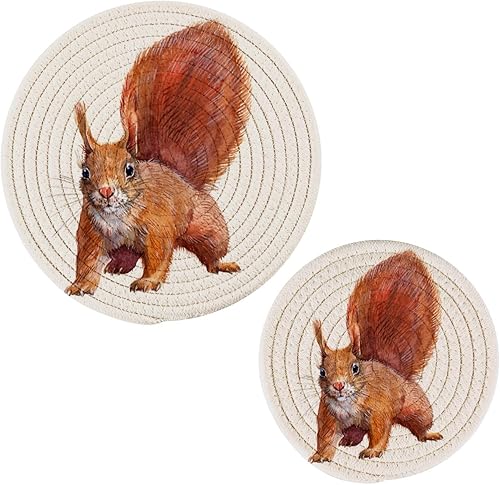 Juego de 2 manteles individuales redondos con diseño de ardilla, diseño de acuarela, de cuerda de algodón, juego de soportes para ollas, decoración