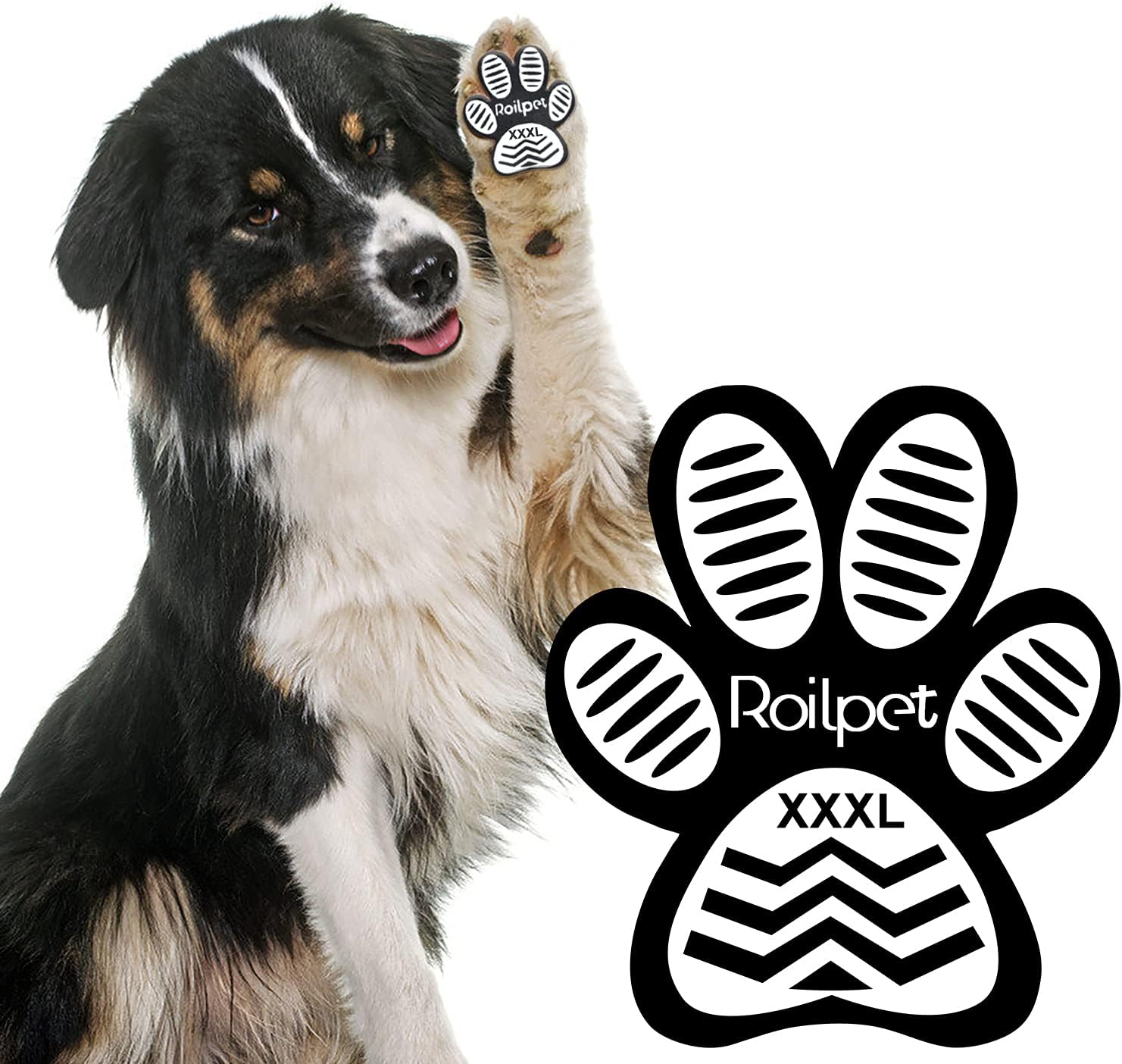 pawfriction petsmart