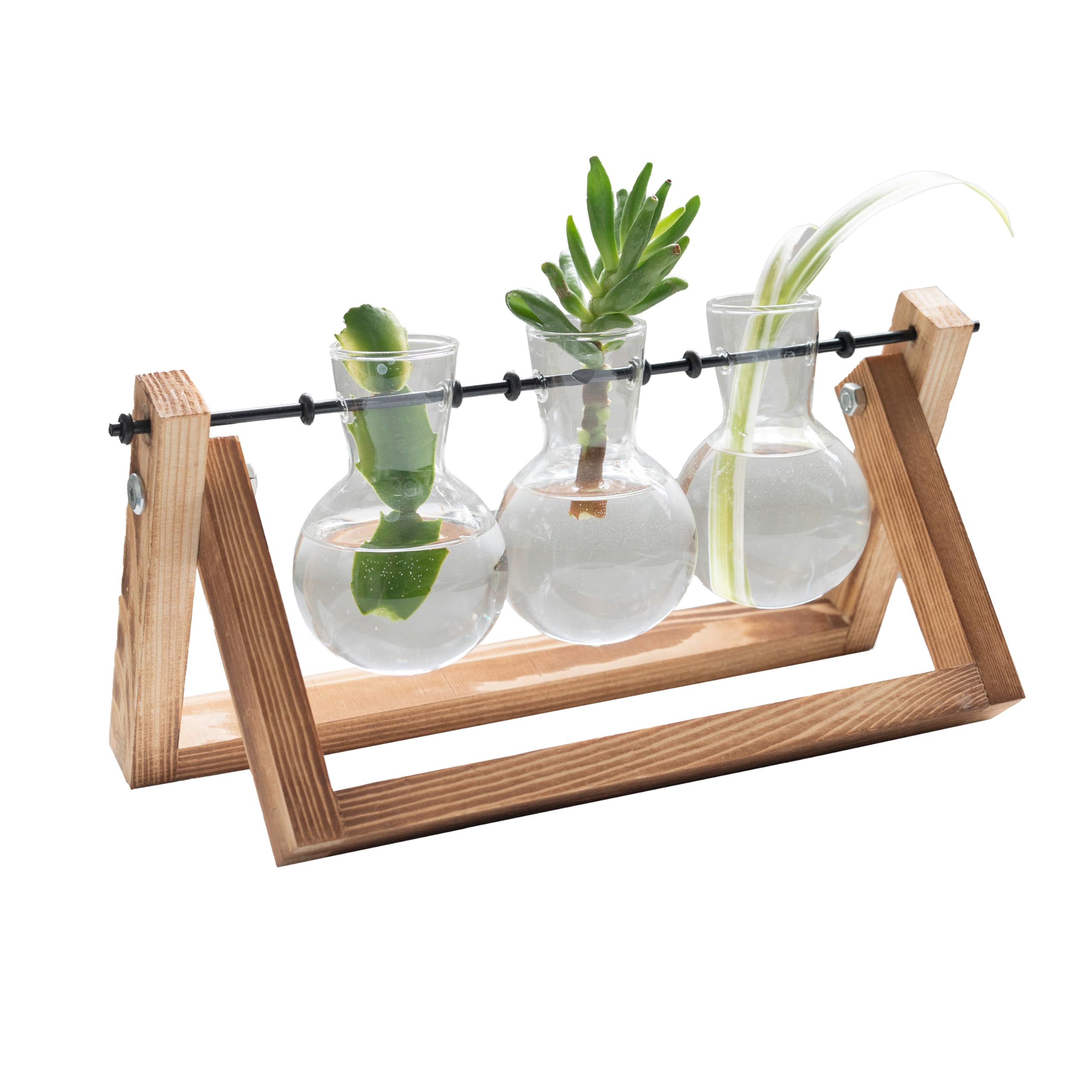 #Winning Transparent Propagation Vases Triple Metal & Wood Swivel Hydroponic Plant Terrarium