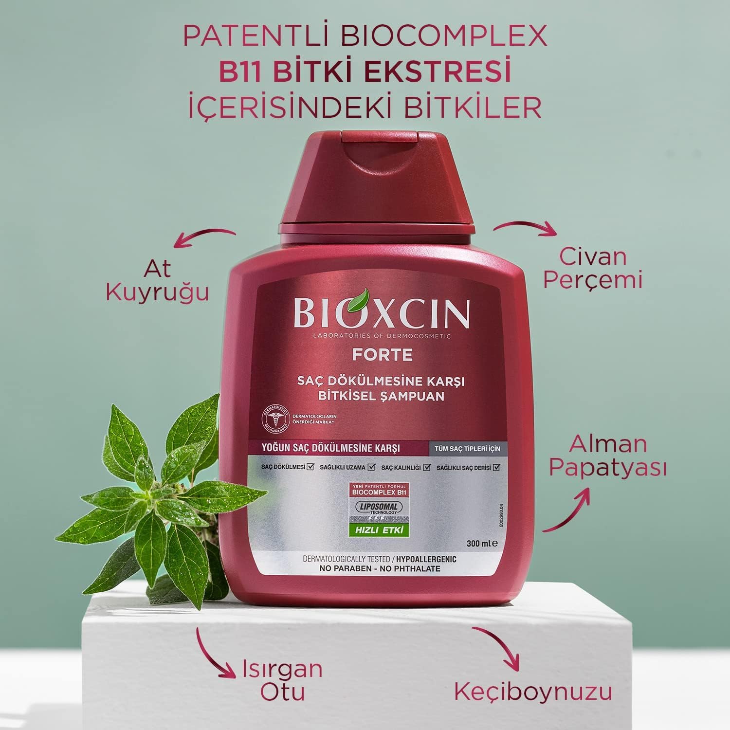BIOXCIN FORTE Shampooing Anti-Chute Intense - Efficace & Rapide - Avec Bio Complex B11 - Testé Cliniquement - Croissance Des Cheveux Plus Forte, Plus Épais