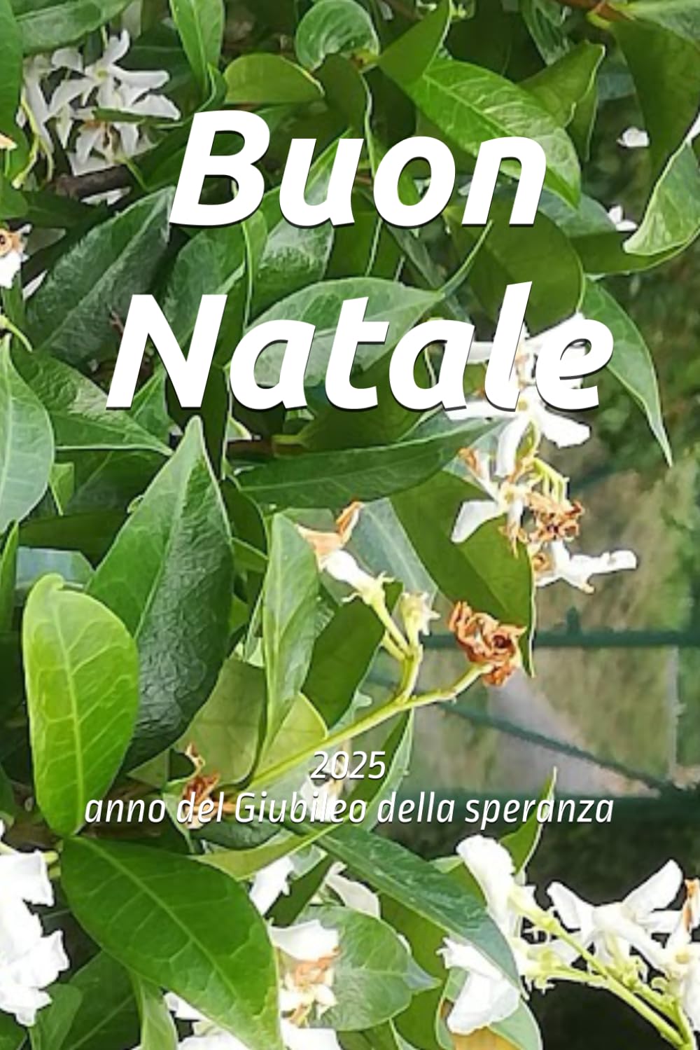 Buon Natale: 2025 anno del Giubileo della speranza