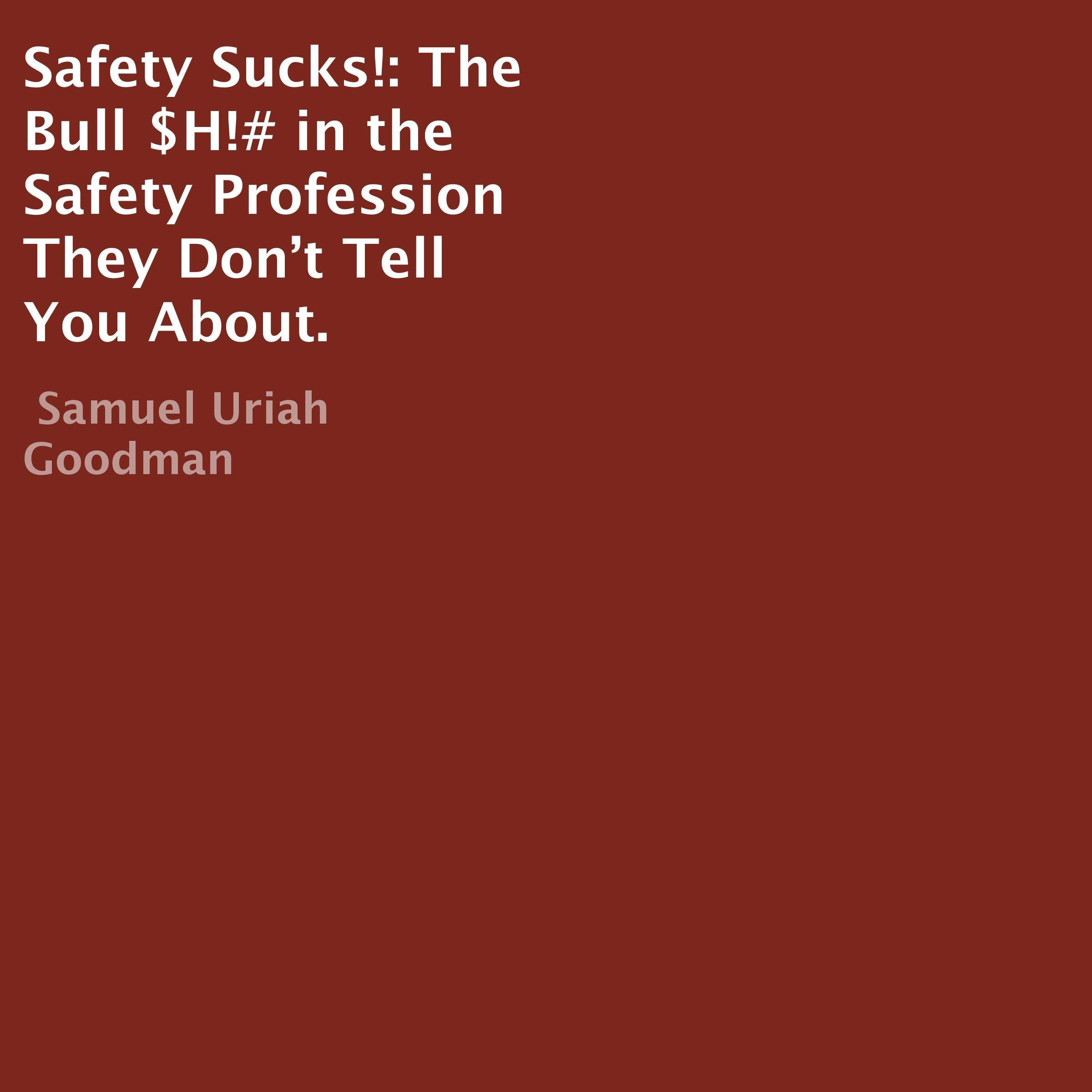 Cover art for Safety Sucks!: The Bull $H!# in the Safety Profession They Don’t Tell You About.