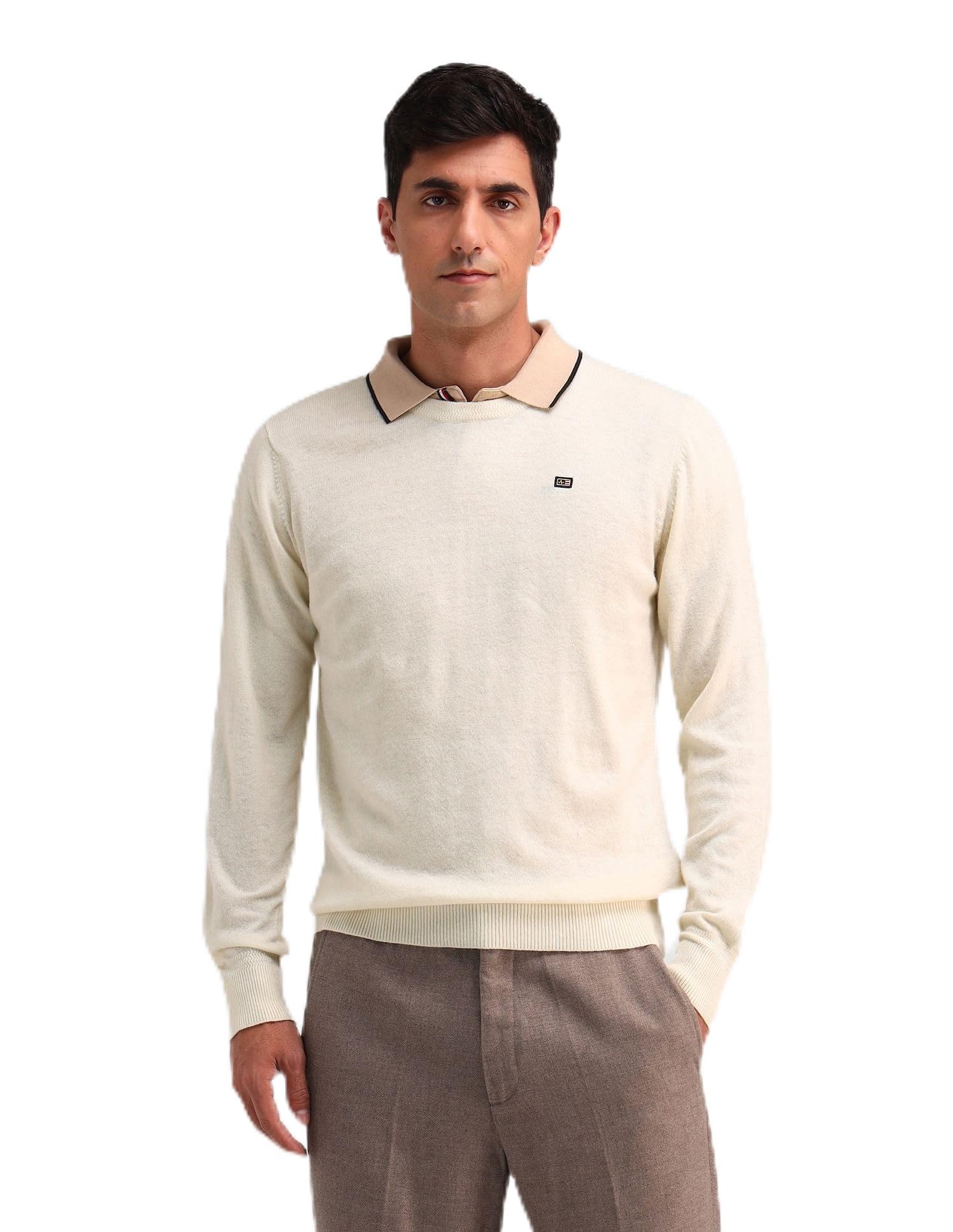 arrow sports Mens White Solid Long Sleeve Cotton Classic Pullover Sweater-picture-33