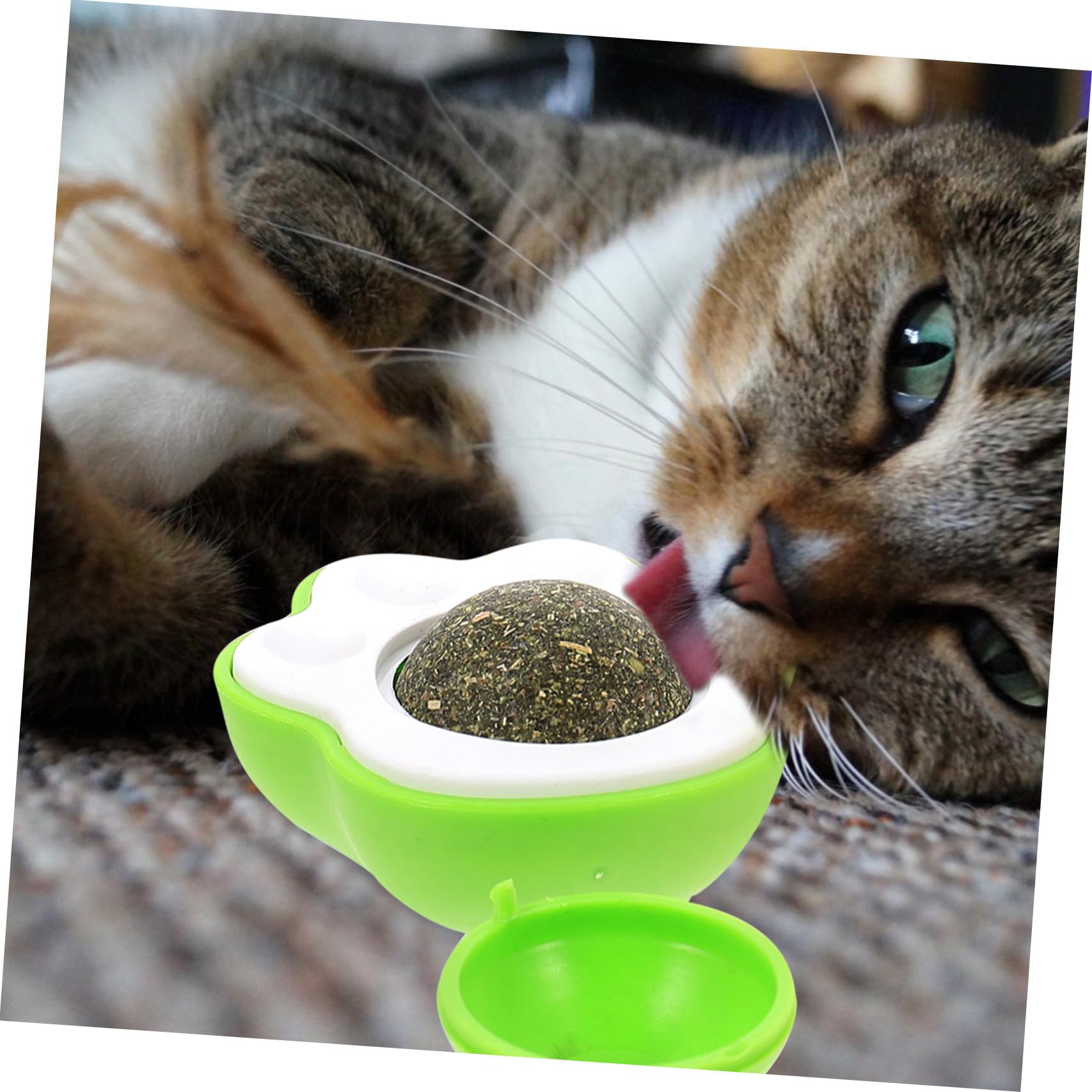 VANZACK 10sätze Rotierender Katzenminze Spielzeug Für Katzen Selbstamüsierendes Spielzeug Und Fördert Bewegungsfreude Und Wohlbefinden Haustiere