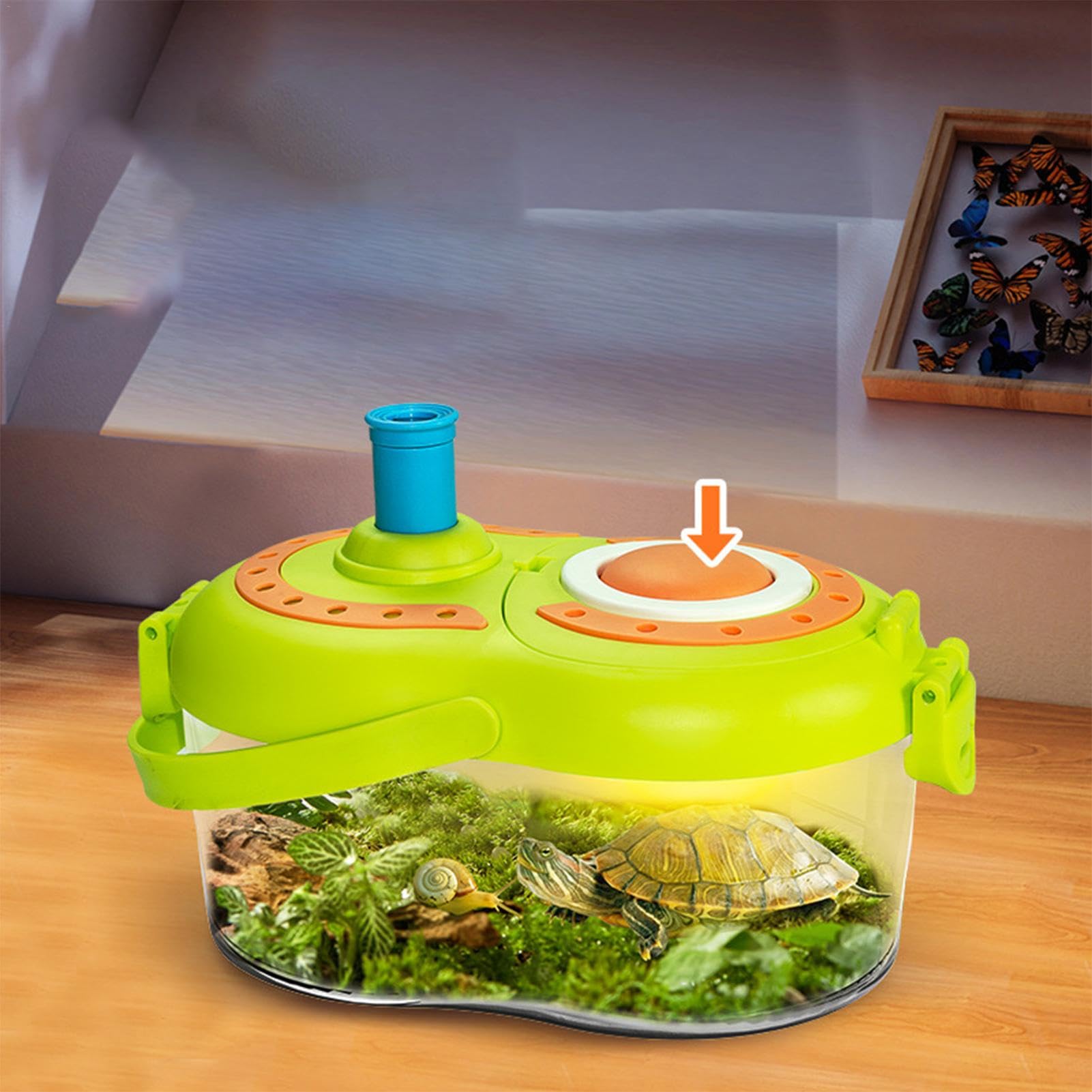 Worm Farm Kit For Kids Kids Bug Catcher Kit For Toddlers Science ...