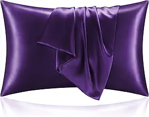 BEDELITE Satin Pillowcase with Zipper 2 Pack, Plum Purple Pillow Cases Standard Size, Super Soft and Cooling Similar to Silk Pillow Cases, Gift for Women Men(20x26 Inches)
