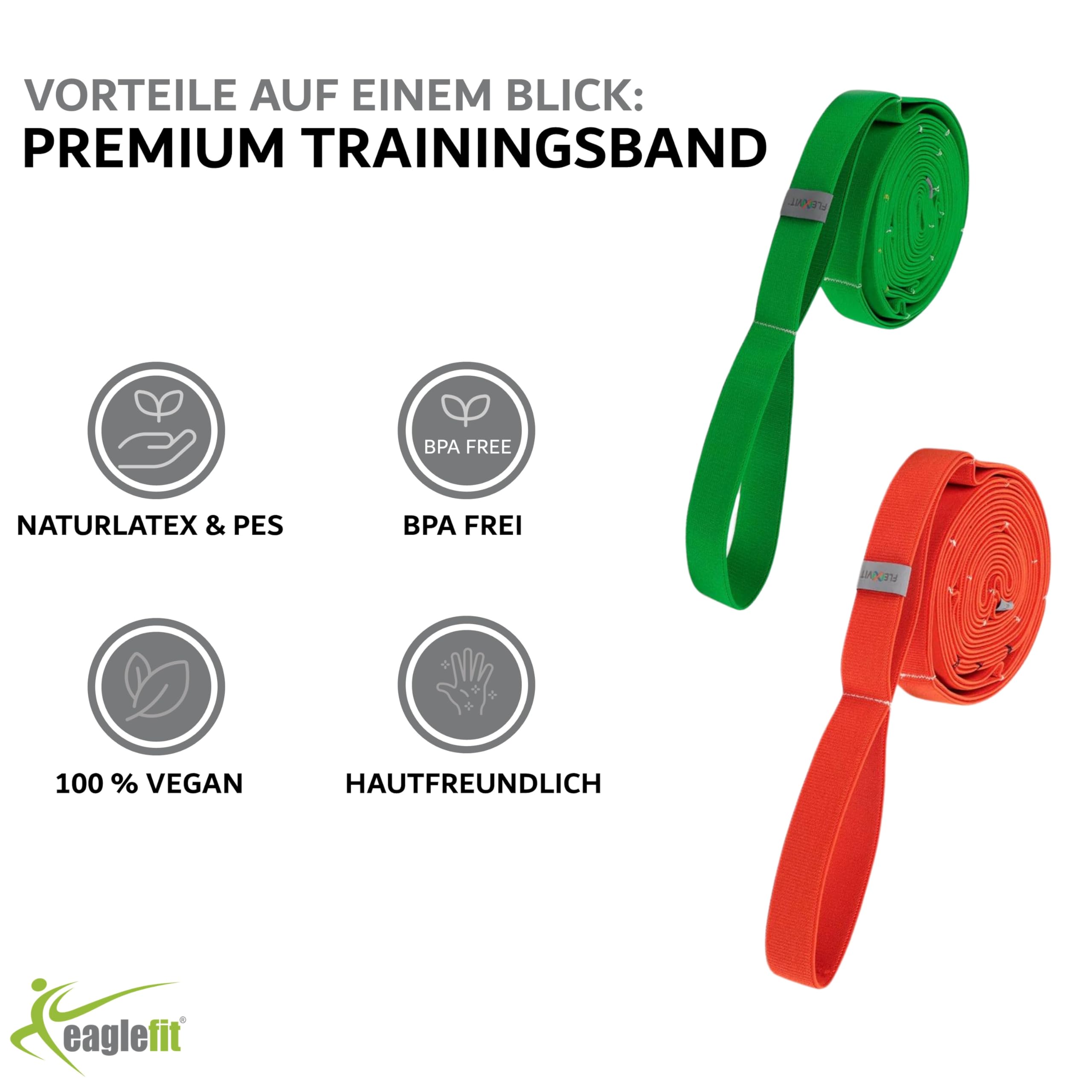 eaglefit - Multi Trainingsband by Flexvit für Profis und Anfänger für EIN effektives Ganzkörpertraining und ideal für EMS-Training - Mit Schlaufen für schnelle Intensitätsänderung (Länge 2,75 Meter)
