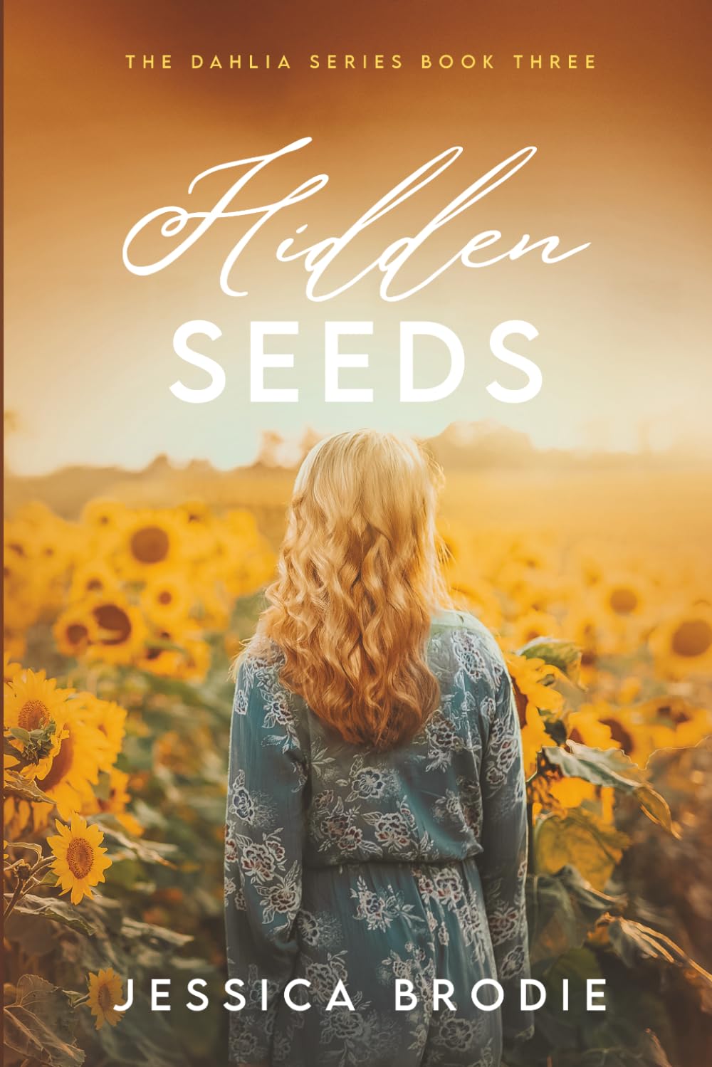 Hidden Seeds: A Contemporary Small-Town Christian Novel (The Dahlia Series Book 3)
