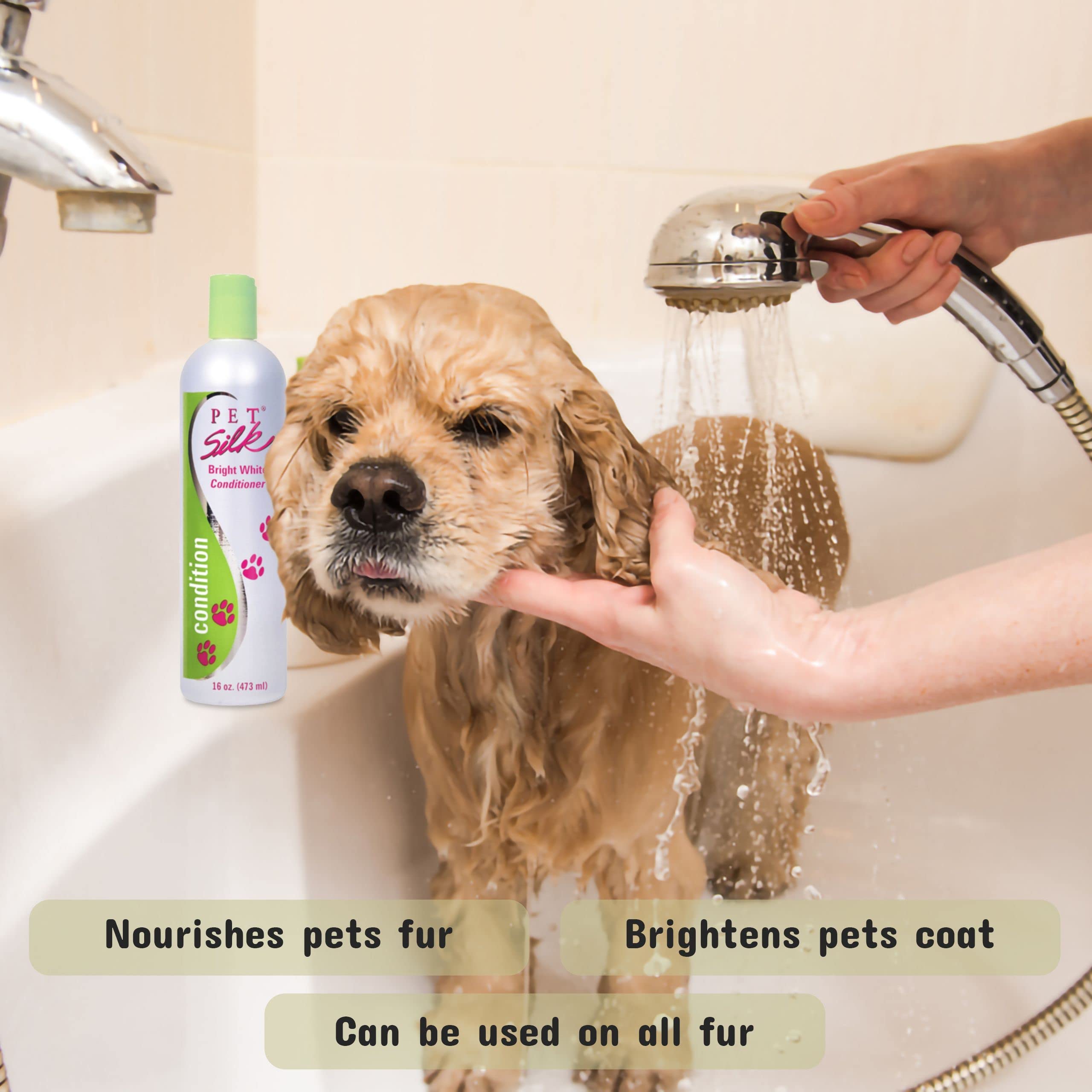 Can Dogs Use Human Soap at Coy Smith blog