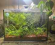 Review Image by Hannah Hannah